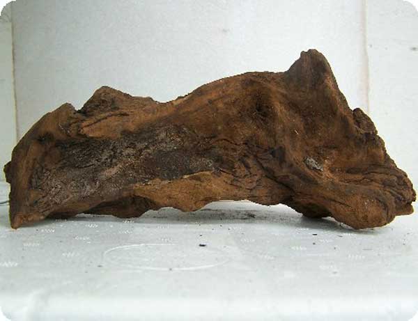 Malaysian Drift Wood 8 - 12 inches