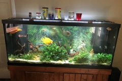 Roger-Smith-Aquarium